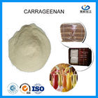 Pureza alta CAS 11138-66-2 de produto comestível da goma do Xanthan de 80 malhas para a bebida
