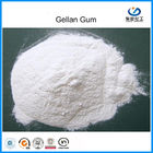 Produção de leiteria alta do produto comestível do acílico do pó da goma de CAS 71010-52-1 Gellan/baixo do acílico